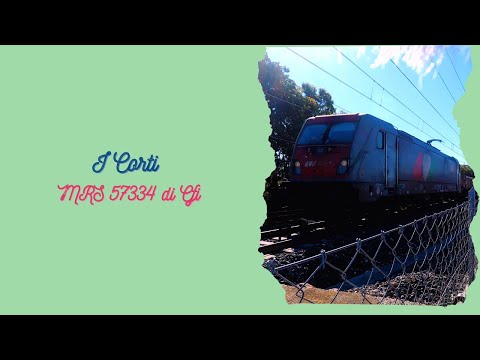 Freight Terni - Civitavecchia