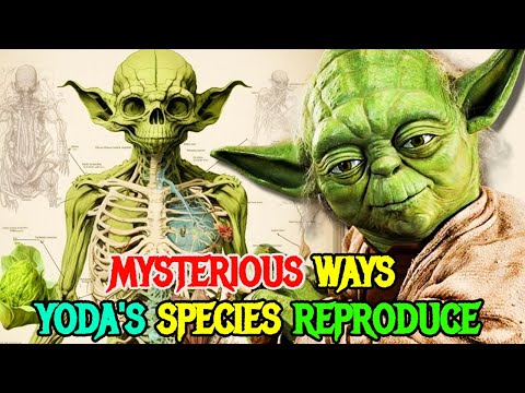 Yoda Anatomy Explored - How Yoda's Species Reproduce? How Old Is He? And Many More!
