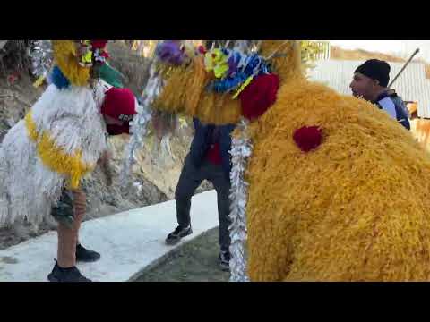 Capra de Anul Nou - Traditii si obiceiuri Chiojdeni, Vrancea 31.12.2022