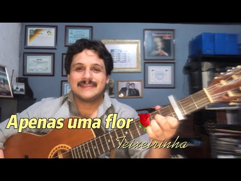 Apenas Uma Flor - Teixeirinha