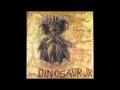 Dinosaur Jr. - Budge