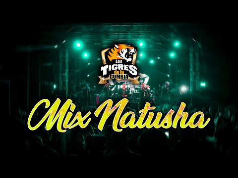 Mix Natusha - Los Tigres de la Cumbia ( En vivo )