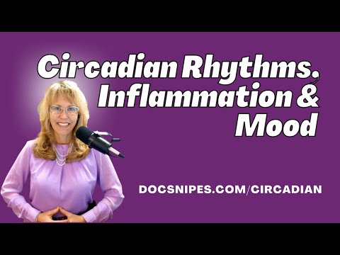 Circadian Rhythms Inflammation and Mood A Holistic Approach to Mental Health