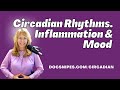 Circadian Rhythms Inflammation And Mood A Holistic Approach To Mental Health