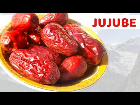 Das Essen von 2 Jujubes pro Tag tut dies Ihrem Körper | Was sind die Vorteile von Jujube?