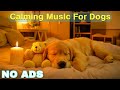12 HOURS Of Dog Calming Music For Dogs Anti Separation Anxiety Relief Music Sleep Dog Healing