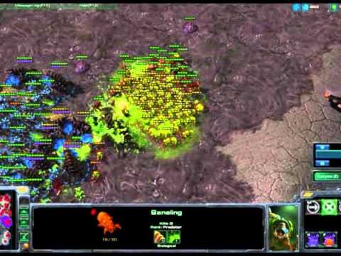 BEST FUNGAL GROWTH IN HISTORY!!!!