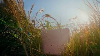 Bealls BFL Evergreen Hz Every Day Value (2025) – Official Ad Campaign