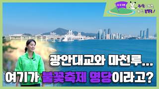 [해양교양TV] 천만 영화 촬영지이자, 뜻밖의 불꽃축제 명소?