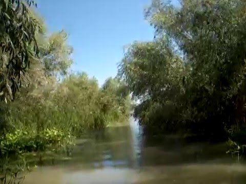 Pensiunea Ovidiu - Sfantu Gheorghe- Delta Dunarii, excursii pe canale