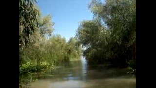 preview picture of video 'Pensiunea Ovidiu - Sfantu Gheorghe- Delta Dunarii, excursii pe canale'