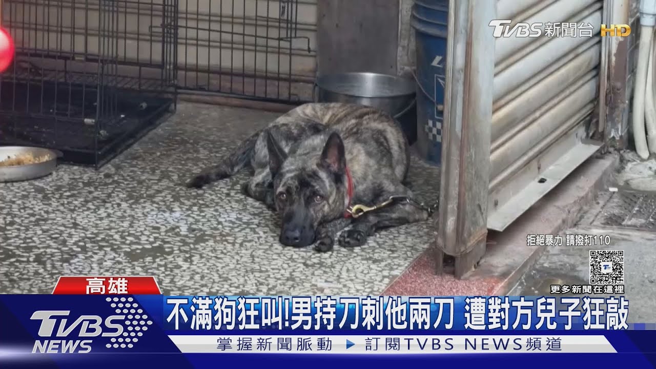 不滿「狗吠聲」吵死！男理論持刀攻擊　反遭棍棒打傷