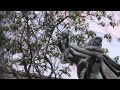 BLACK WAVE - The Shins (Official Video) (HD Sound)