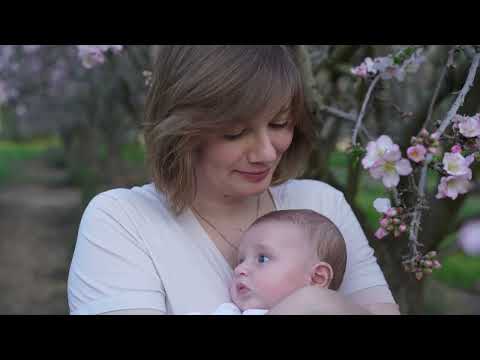 Yasha | Almond Trees