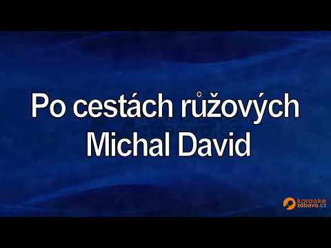 FullHD karaoke Po cestách růžových - Michal David - ukázka