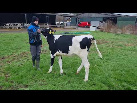 Kat Nr 25 WKM Nordsee