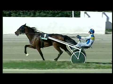 Napoli Trotto 25/02/2022 - 1ª corsa