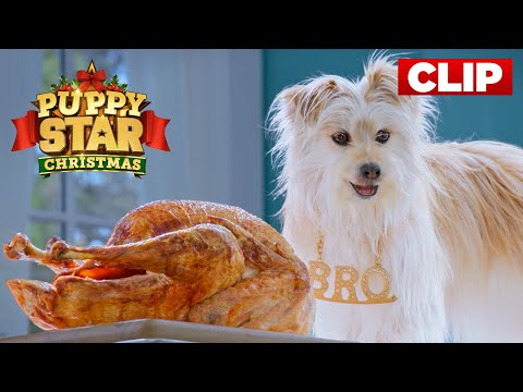 Discovering Thanksgiving Dinner! | Puppy Star Christmas Clip