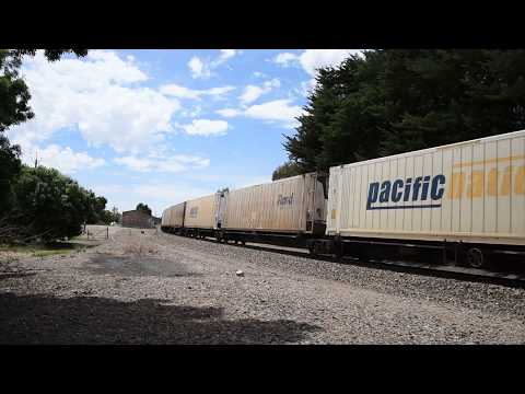 Pacific National 3MP7 NR110 NR36 8226 8225