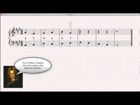 1:1 Counterpoint Example