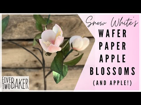 Easy Wafer Paper Apple Blossom Tutorial ⎸Disney's Princess Snow White Inspired Floral Cake Topper