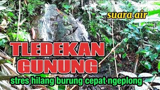 Download lagu Suara air terapi burung tledekan gunung agar cepat gacor ngeplong, terapi air mp3