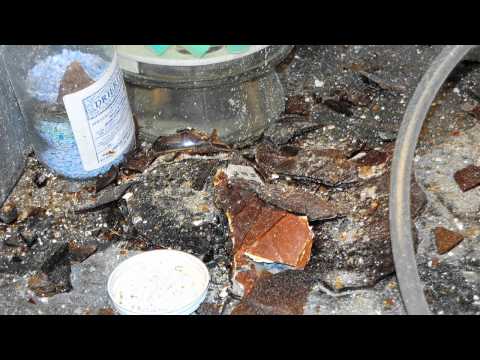 Experimenting with Danger