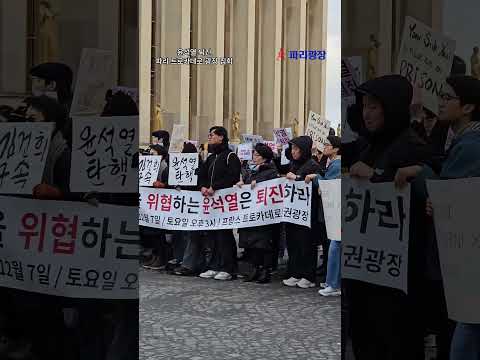 윤석열 퇴진 촉구, 파리 트로카데로 광장 집회