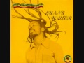 Bunny Wailer- Rock 'n' Groove