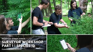 Invasives Strike Force Survey Workshop 2023- Part 1: Species ID