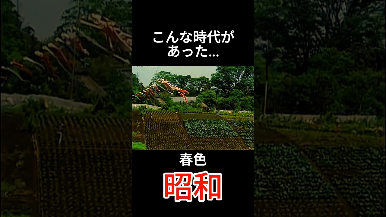 鯉のぼり🎏 #昭和