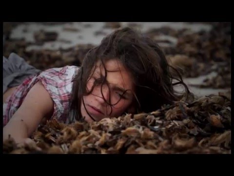 AMICS DEL BALL Binissalem, "En el corazón de la selva" resum