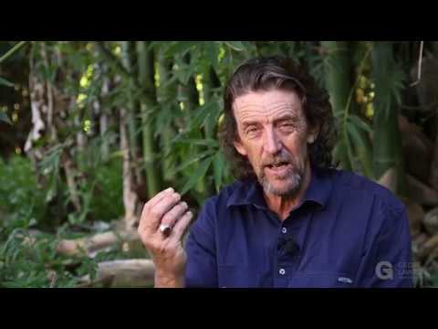 Q&A: Casuarinas: Fixing Phosphate, Planting them, Coppicing them, etc.