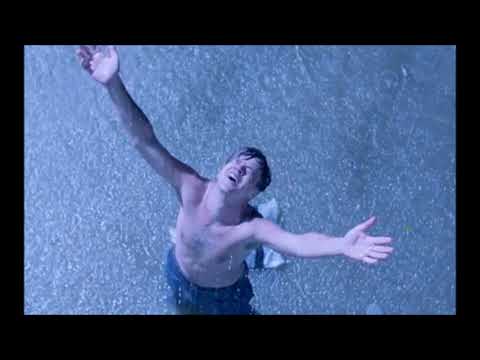 Posljednja igra leptira-    Grudi balkanske  - 1986