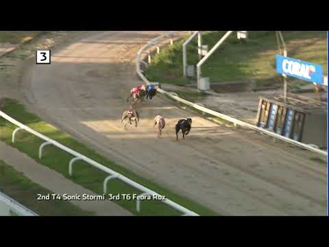 2020 CORAL REGENCY - HEAT 3 - T3 AFFLECK LADY