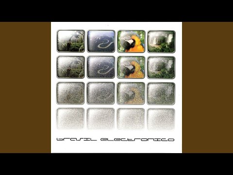 Festival Dos Piratas