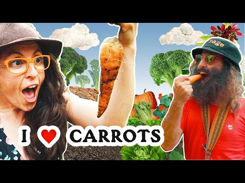 I Love Carrots | Formidable Vegetable (feat. Costa & Linsey Pollak) | Play Music With Your Food Song