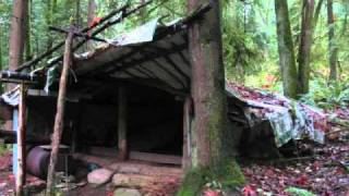 The Be Good Tanyas Cabin in the Woods   GCY03D