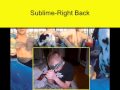 Sublime-Right Back 