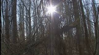 HÍREK A TERMÉSZETBŐL