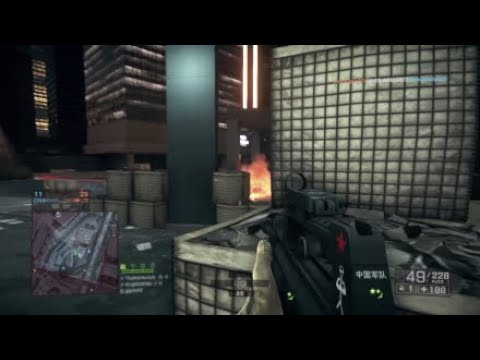 Battlefield 4: QBB-95-1 & M240B master dog tags