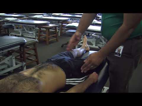 Somatic Dysfunction Diagnosis: Pelvis