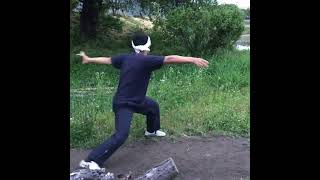 少林七星拳 酒井謙輔(酒井谦辅)Shaolin seven star fist by Kensuke Sakai