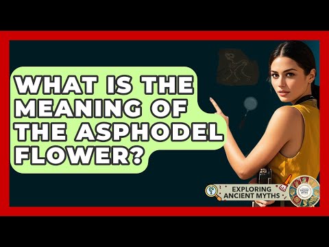 What Is The Meaning Of The Asphodel Flower? - Exploring Ancient Myths