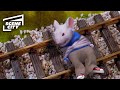 Stuart On The Train Tracks Stuart Little Michael J Fox Jonathan Lipnicki