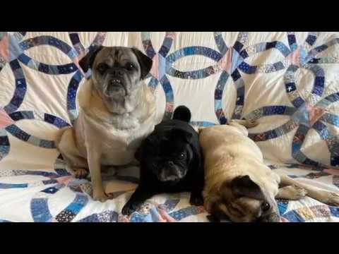 Storytelling Through Quilting