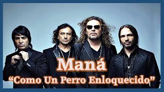 Como Un Perro Enloquecido - Maná