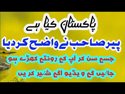 Speech of Peer Ameen Ull Hasnat Shah Sahib By Tecnical Words