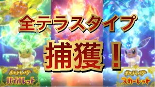 【レイド参加OK】全テラスタイプのイーブイ捕獲するまでやってく【ポケモンSV】