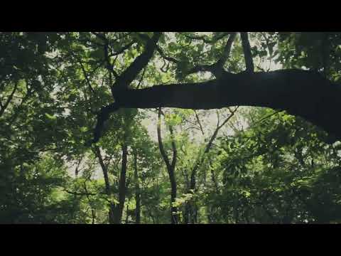 Edda Magnason with Mats Bergström & Friends - So Many Layers of Colour Become a Deep Purple Heart